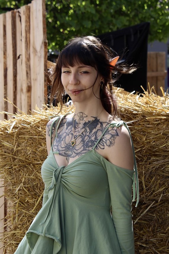 31.Mittelalterstadtfest Bad Langensalza