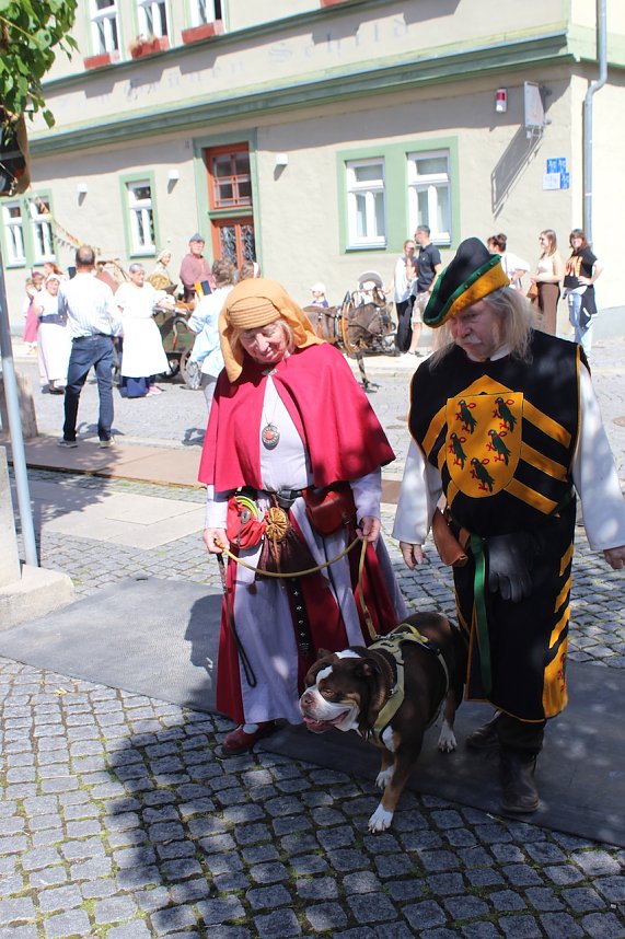 31.Mittelalterstadtfest Bad Langensalza