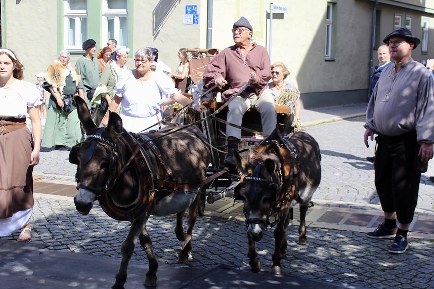 31.Mittelalterstadtfest Bad Langensalza