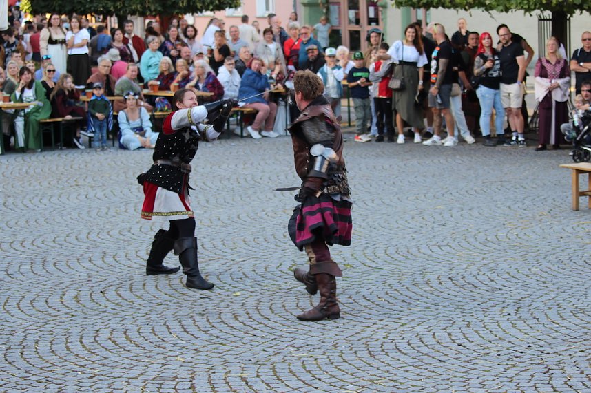 Rittergruppe HEROLD beim 31. Mittelalterstadtfest in Bad Langensalza