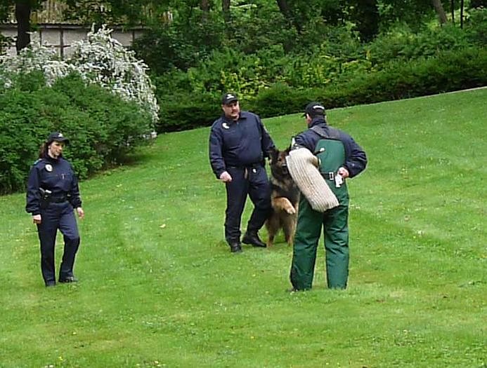 Tag der offenen T&uuml;r Polizei