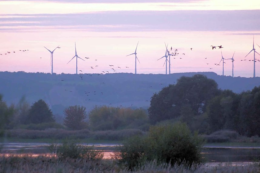 Peter Blei unterwegs am Stausee Kelbra
