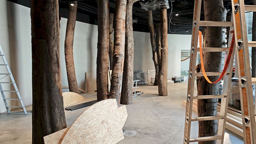 Besuch am Hexenbesen bei Rothes&uuml;tte am 8. September 2025