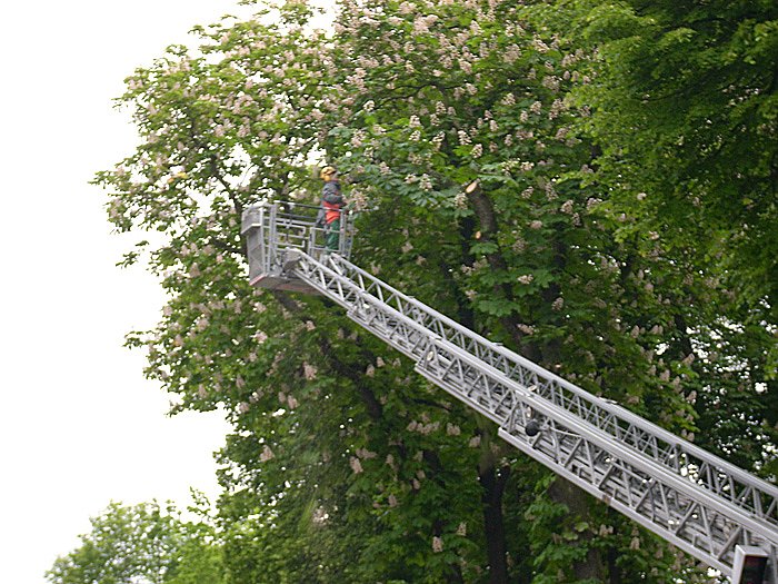 Vorsicht, Vorfahrt ge&auml;ndert!