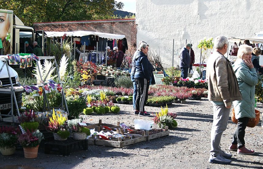 Herbstbauernmarkt in Kelbra