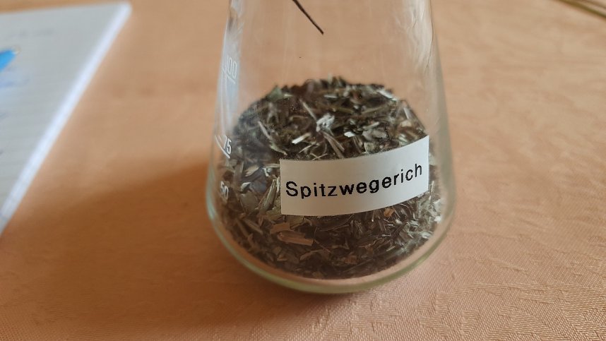 Kr&auml;uterkunde beim Verband er Behinderten