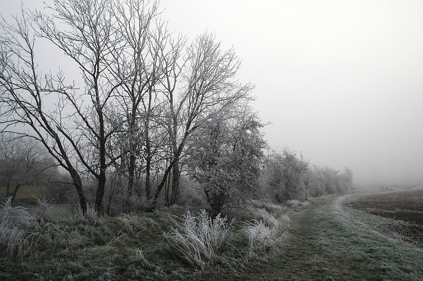 Winterlandschaft bei Kelbra