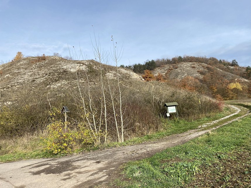 Der Hainleite-Wanderverein unterwegs im November 