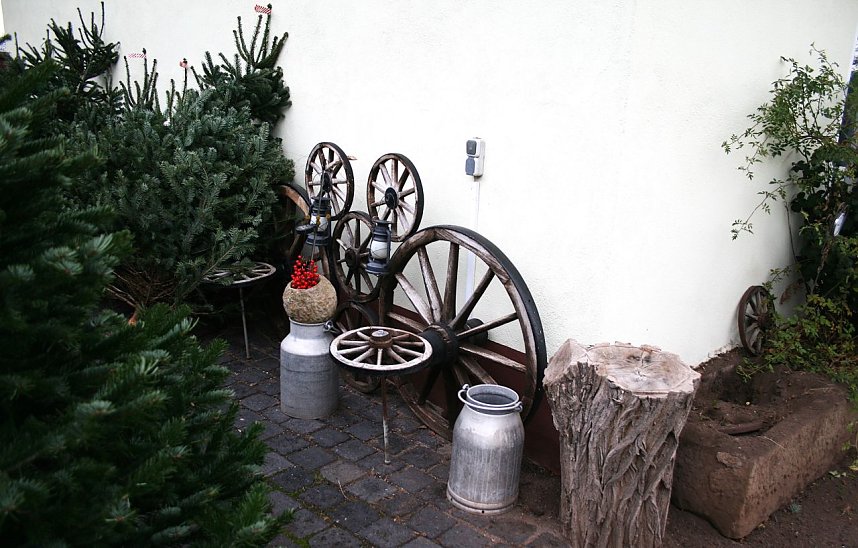 Weihnachtsbaumverkauf in Kelbra