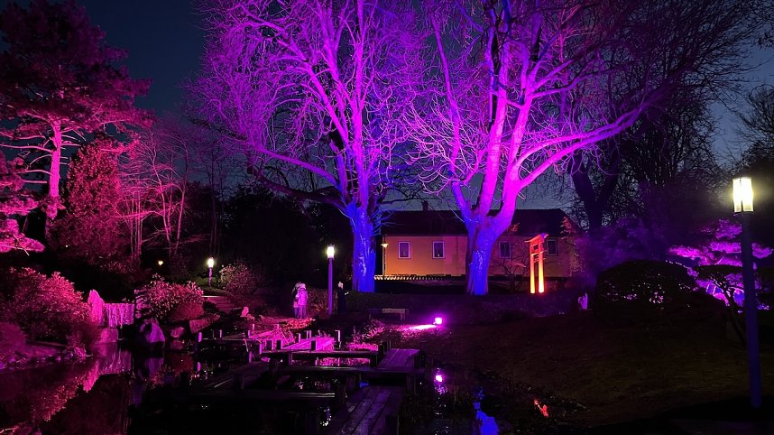 Die Lichterpoesie in Bad Langensalza ist er&ouml;ffnet