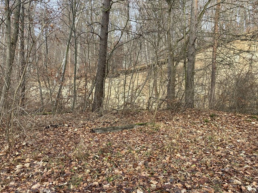 Wanderbericht f&uuml;r den Dezember 