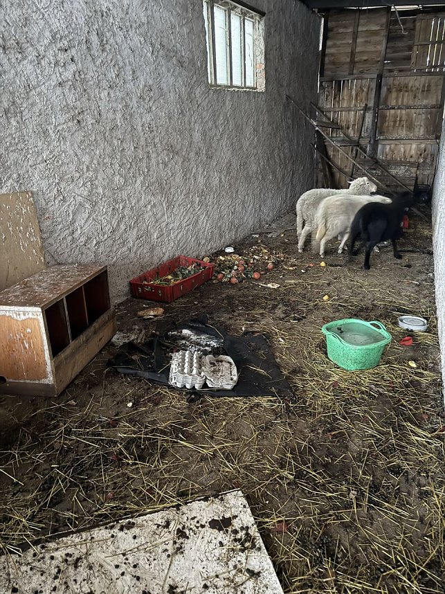 Eine Tierhaltung im Landkreis Nordhausen wurde aufgel&ouml;st.