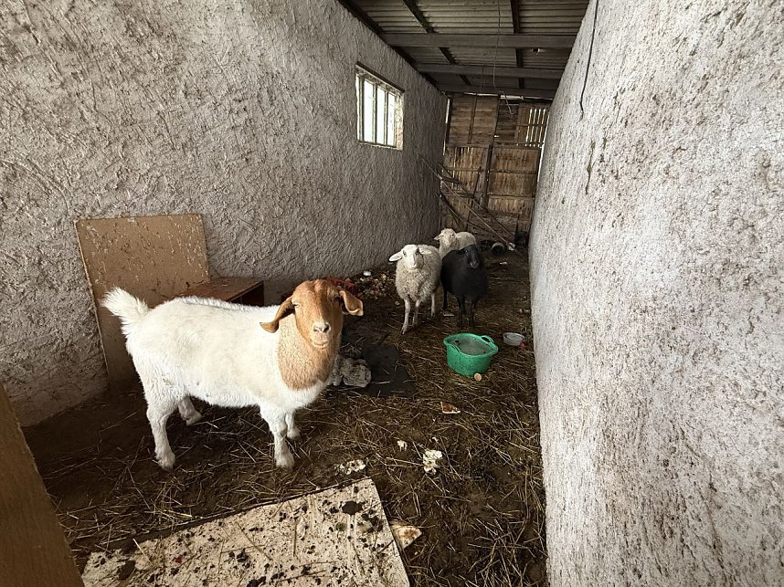 Eine Tierhaltung im Landkreis Nordhausen wurde aufgel&ouml;st.