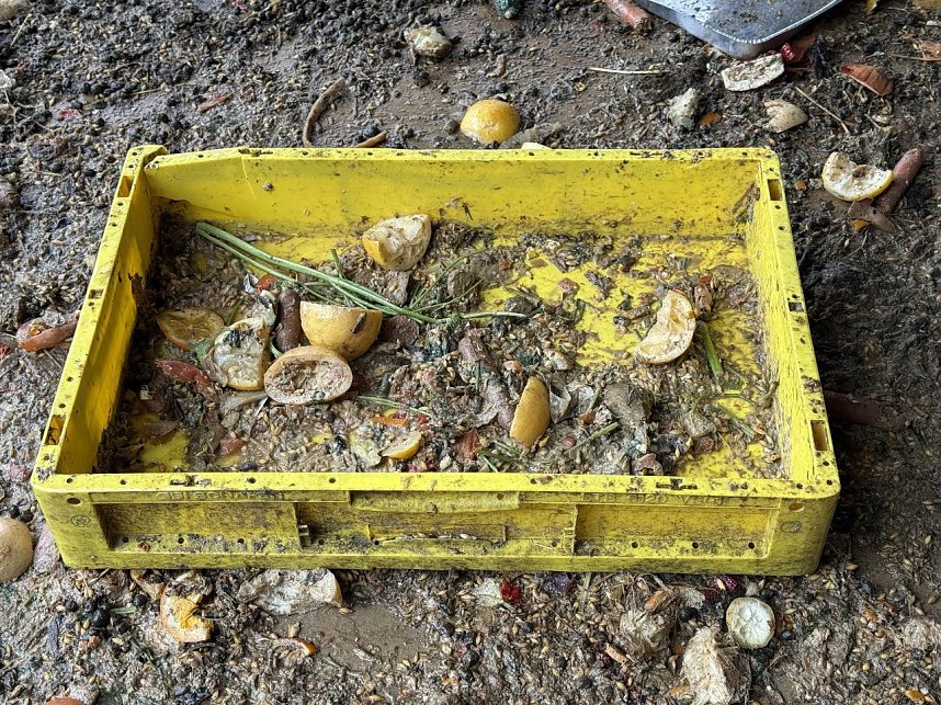 Eine Tierhaltung im Landkreis Nordhausen wurde aufgel&ouml;st.