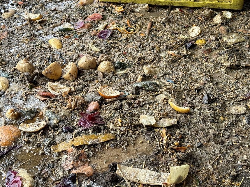 Eine Tierhaltung im Landkreis Nordhausen wurde aufgel&ouml;st.