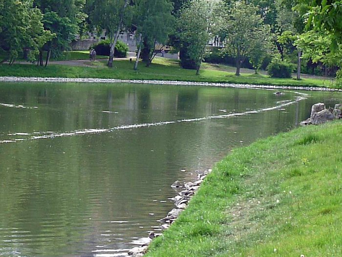 Bel&uuml;ftung Parksee