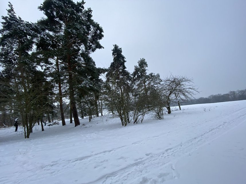 Der Wanderfebruar in der Hainleite
