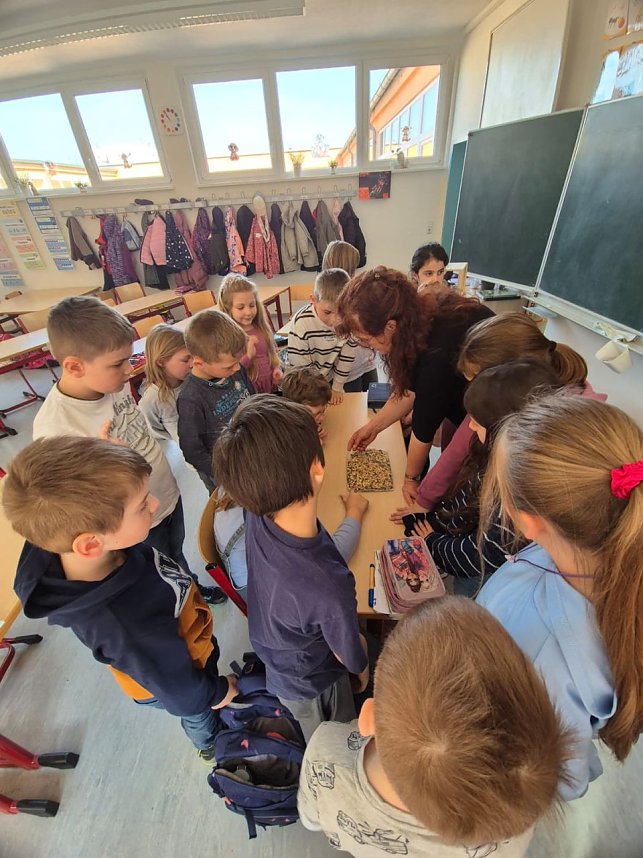 Um das Thema besonders anschaulich zu gestalten, brachte Frau Schr&ouml;ter verschiedeneExponate mit in den Unterricht.