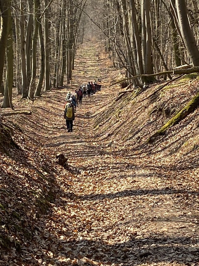 Impressionen von den  Wanderausfl&uuml;gen der Hainleite-Gruppe. 