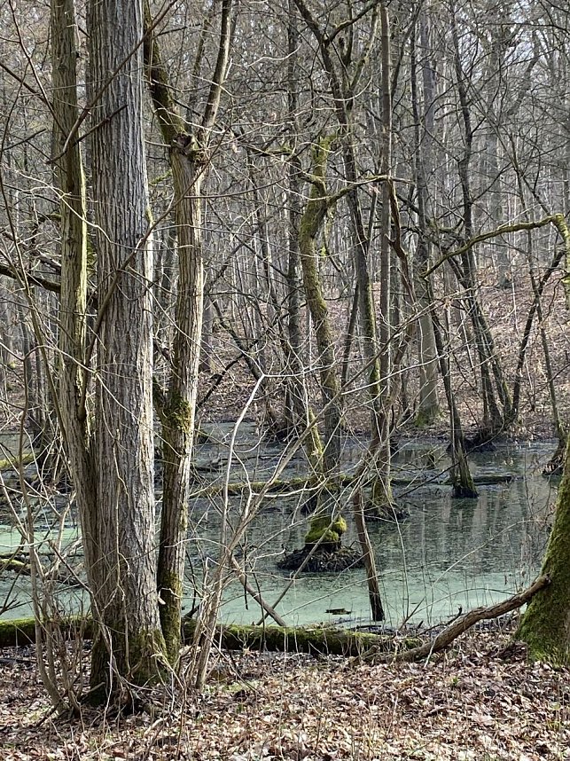 Impressionen von den  Wanderausfl&uuml;gen der Hainleite-Gruppe. 