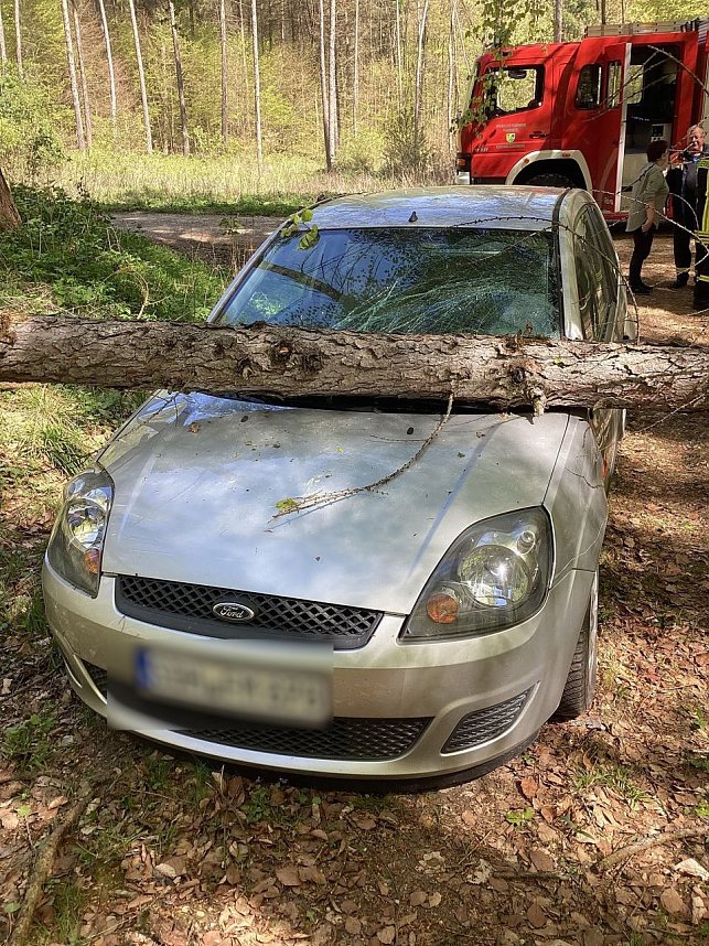 Der Unfall passierte in einem Waldst&uuml;ck bei Schernberg. 