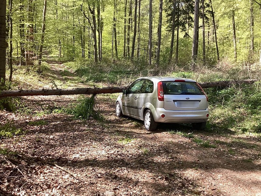 Der Unfall passierte in einem Waldst&uuml;ck bei Schernberg. 