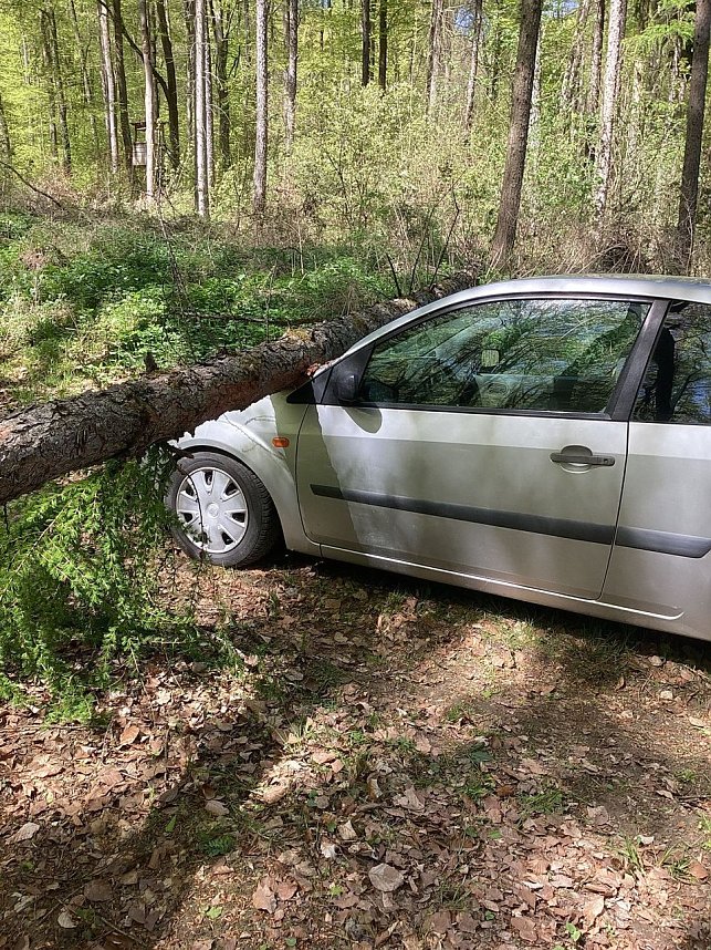 Der Unfall passierte in einem Waldst&uuml;ck bei Schernberg. 