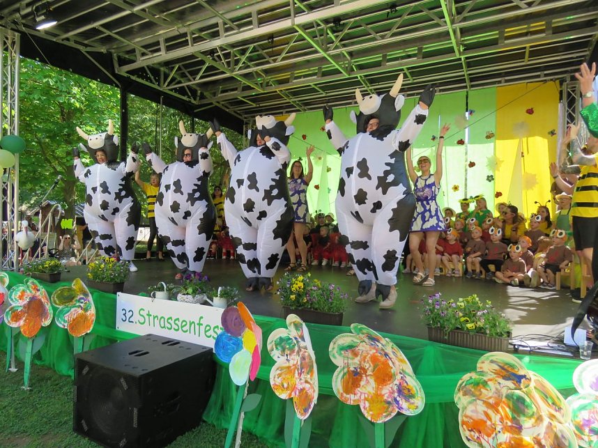 Das Stra&szlig;enfest der Kindervilla in Bad Frankenhausen wurde zum Wiesenfest