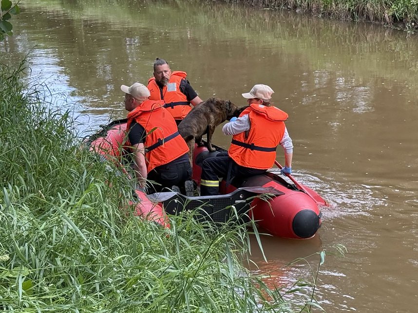 In Sondershausen wird ein Mensch gesucht, der wohlm&ouml;glich in die Wipper gegangen ist.