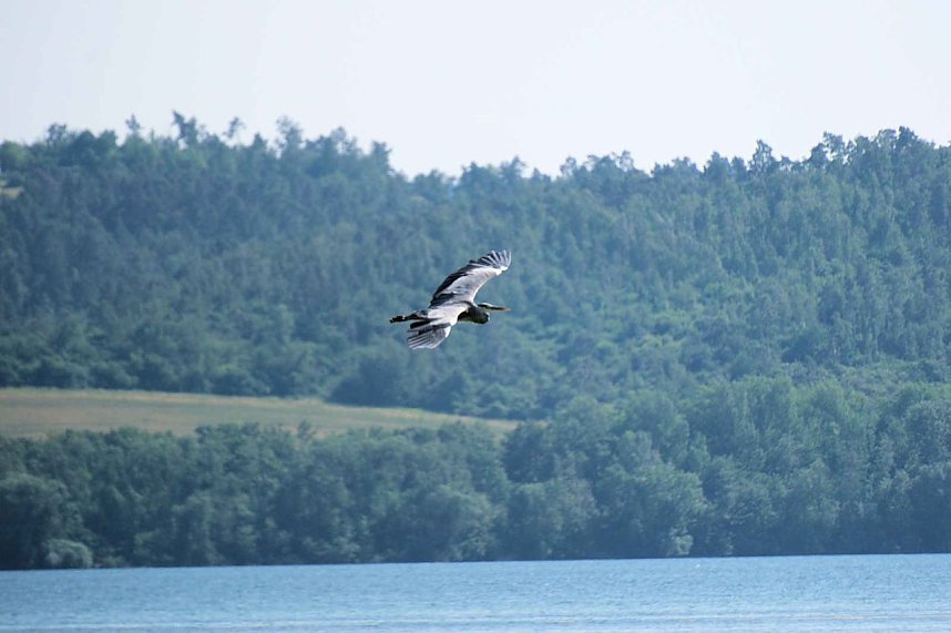 Impressionen vom Stausee Kelbra
