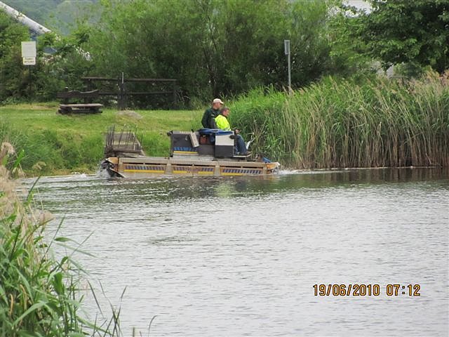 Arbeitseinsatz im Schwimmbad