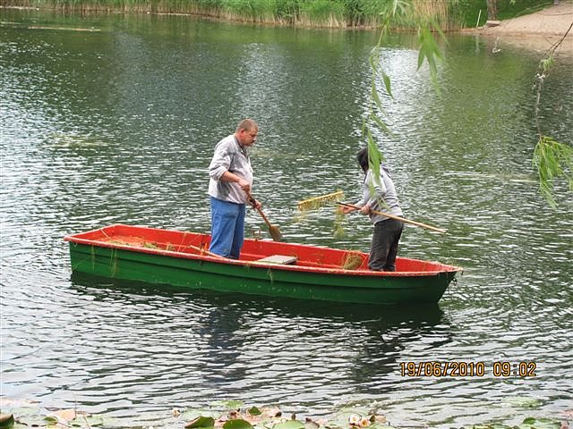 Arbeitseinsatz im Schwimmbad