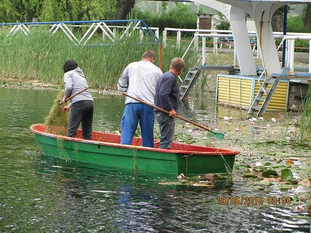 Arbeitseinsatz im Schwimmbad