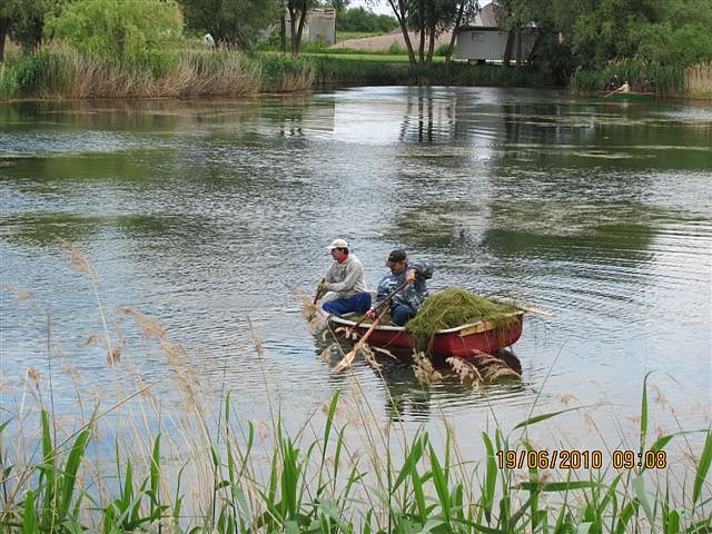 Arbeitseinsatz im Schwimmbad