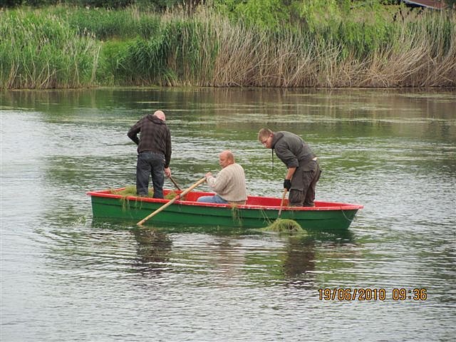 Arbeitseinsatz im Schwimmbad