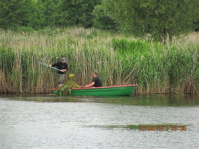 Arbeitseinsatz im Schwimmbad