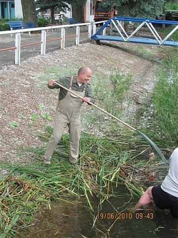 Arbeitseinsatz im Schwimmbad