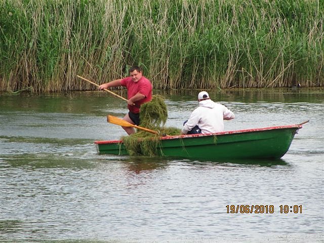 Arbeitseinsatz im Schwimmbad