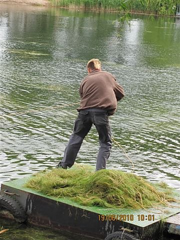 Arbeitseinsatz im Schwimmbad