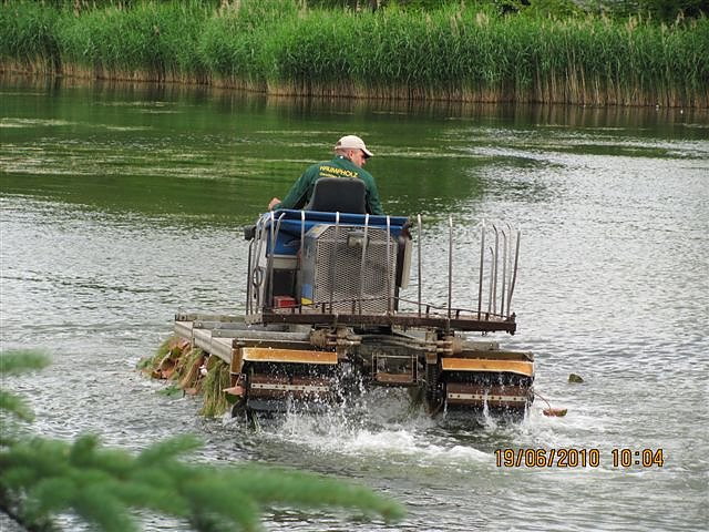Arbeitseinsatz im Schwimmbad