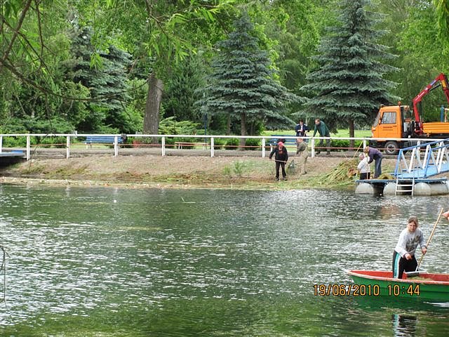 Arbeitseinsatz im Schwimmbad