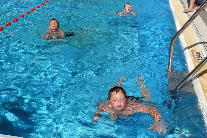 Seepferdchen erhalten