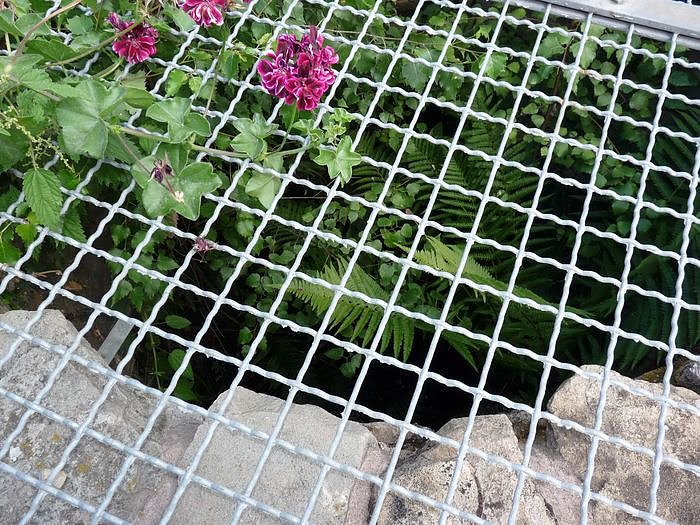 Zusammenleben in Gemeinschaft