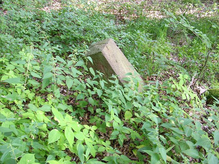 Vergessene Grenzsteine