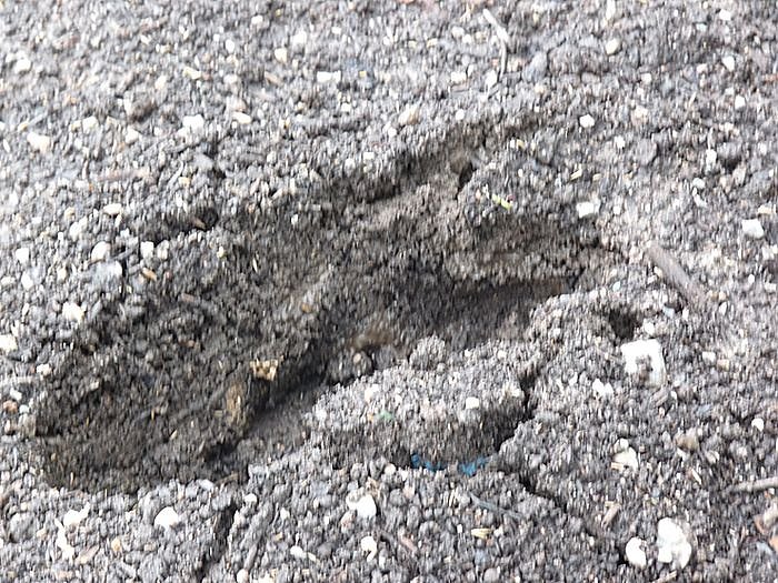 Einweihung Spielplatz