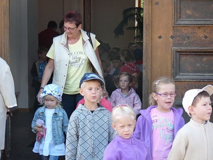 Der Froschk&ouml;nig