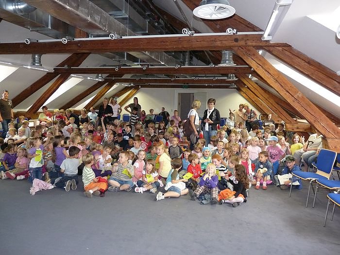 Der Froschk&ouml;nig