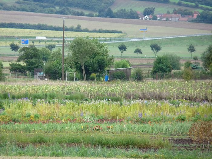 Freigabe Ortsumfahrung Heldrungen