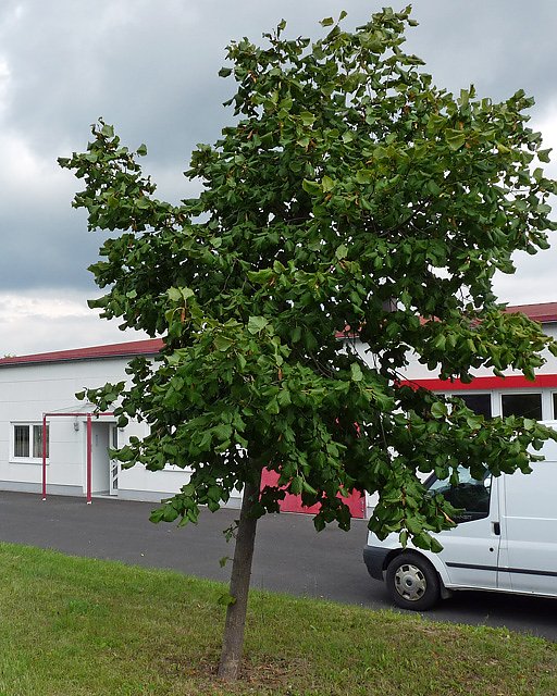 20 Jahre Thermik Th&uuml;ringen GmbH