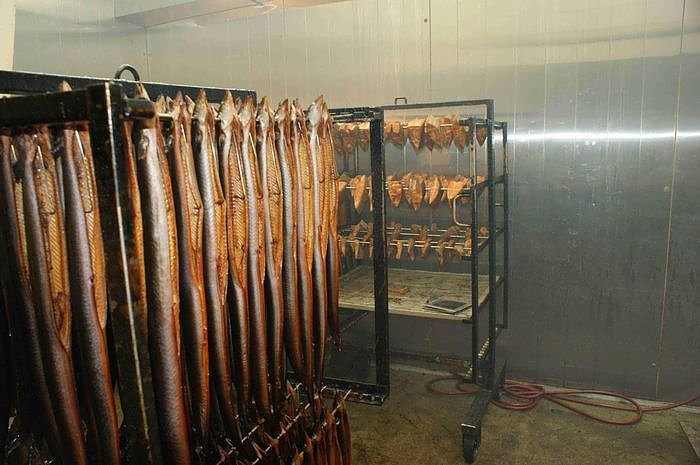 Ausflug zum Steinhuder Meer